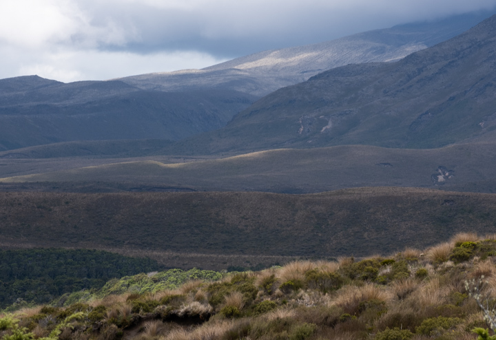 View from near Whakapapa