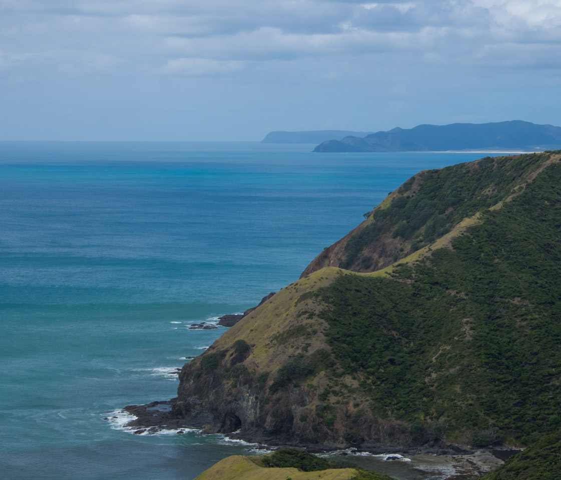 The north shore of New Zealand