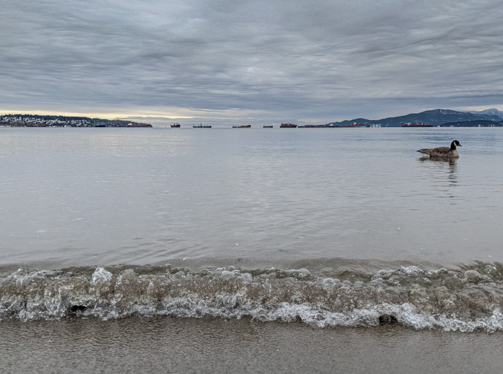 Looking west across English Bay on New Year’s Day 2022