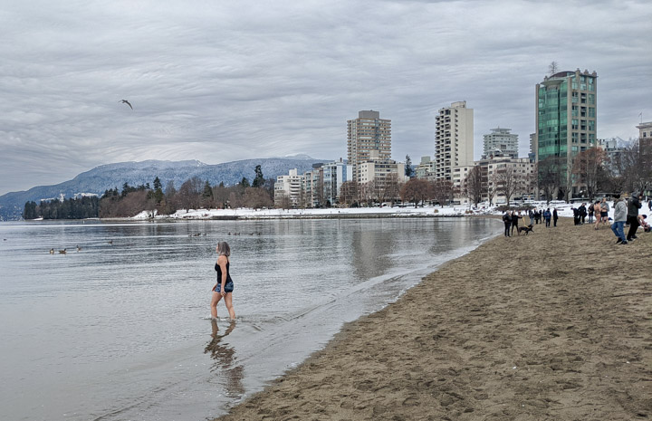 Solo Vancouver polar-bear swimmer, 2022