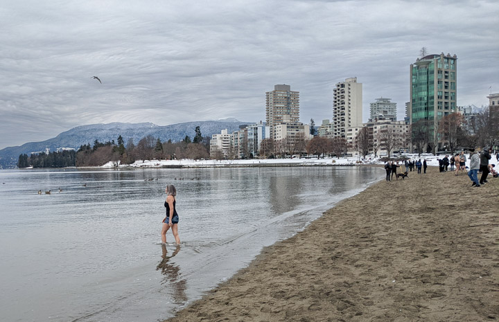 Solo Vancouver polar-bear swimmer, 2022 Solo Vancouver polar-bear swimmer, 2022