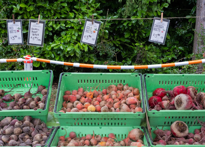 Three kinds of beets for sale: Red, Gold, and Chioggia