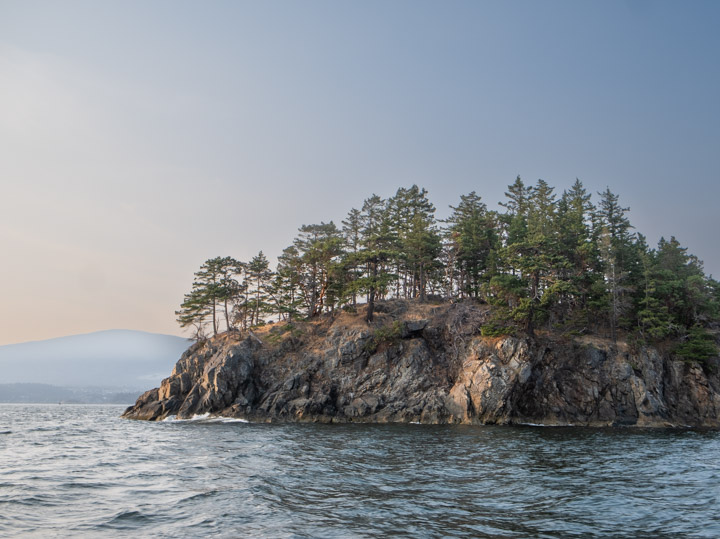 Worlcombe Island