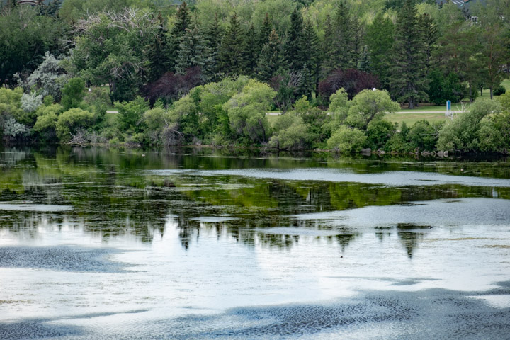 Trees and lawns, behind a still body of water and somewhat reflected in it