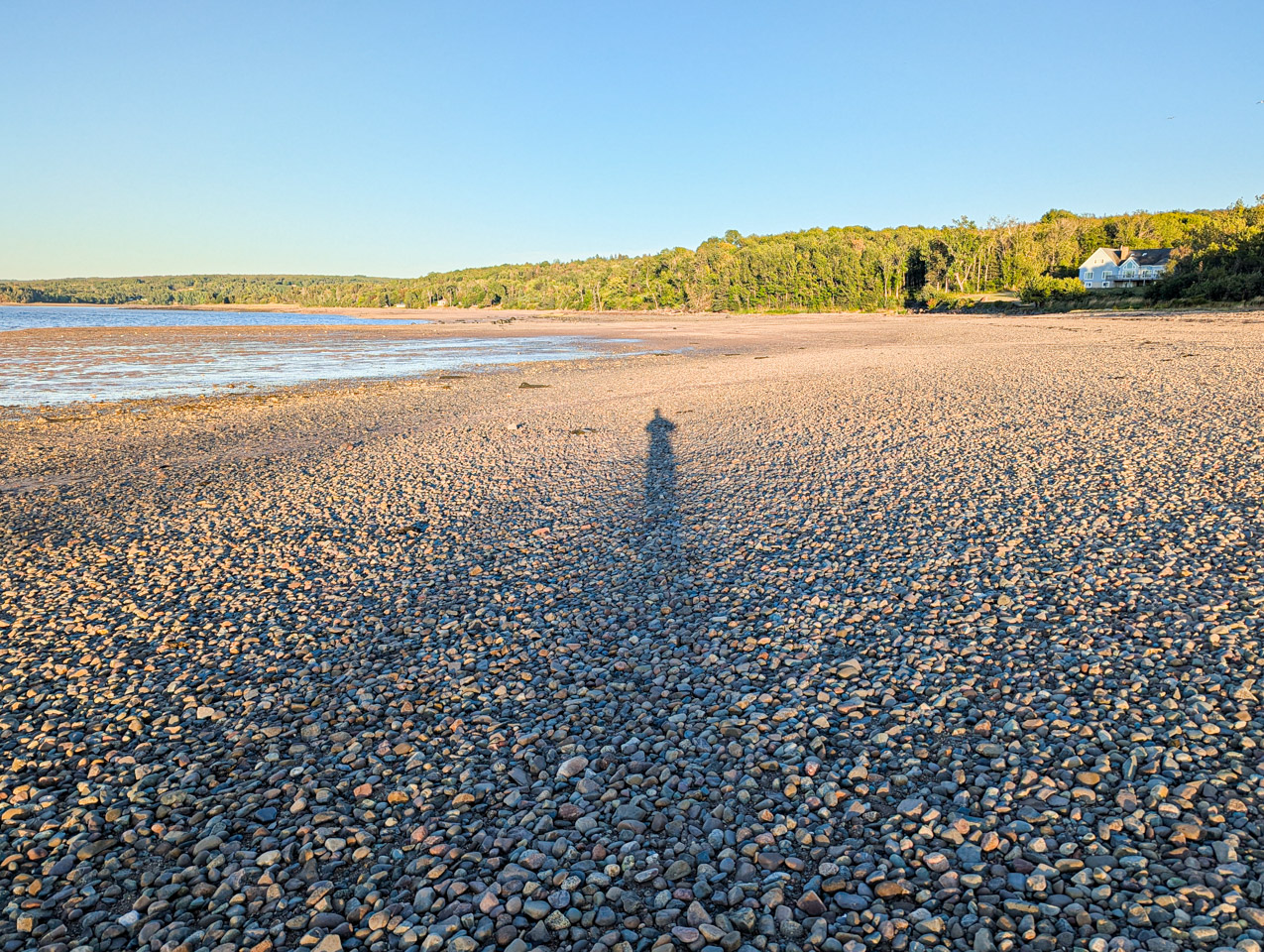 rocky beach at low tide
