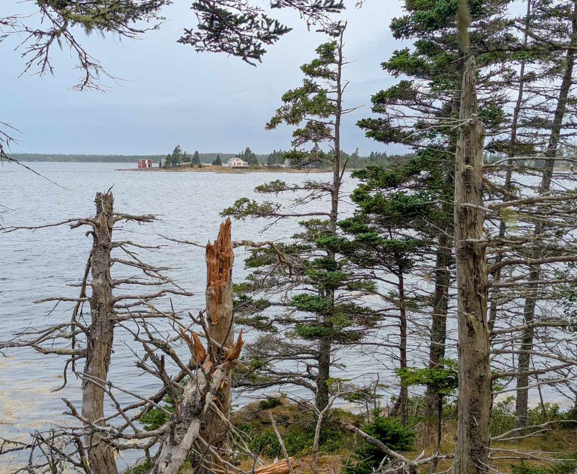 Trees frame the seawater and a couple of oceanfront houses