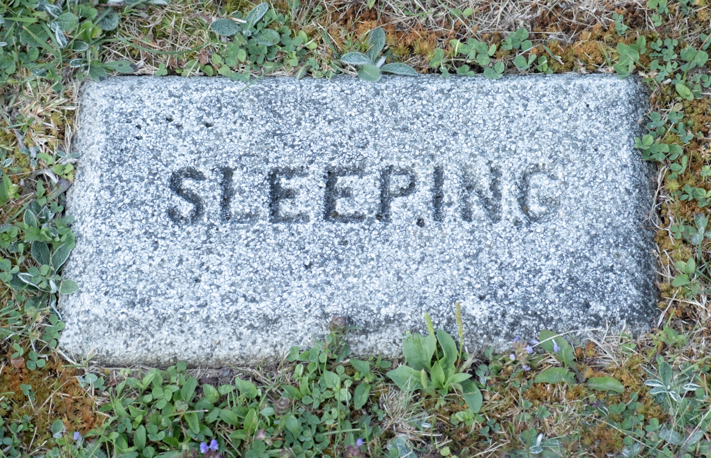 A simple grave marker saying only “sleeping”