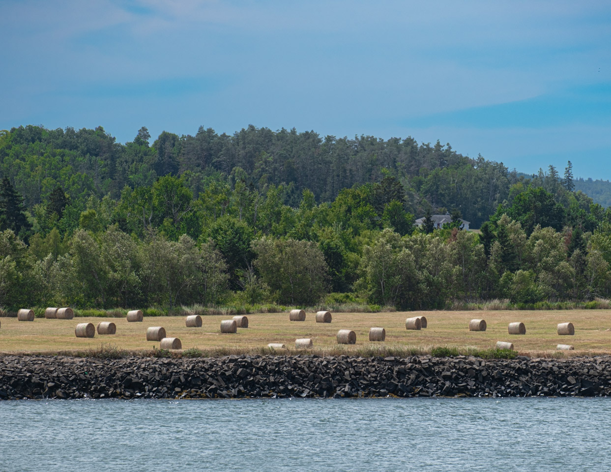 A farm field with hay bales by the seaside