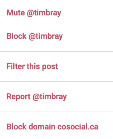 Mastodon “Report” menu