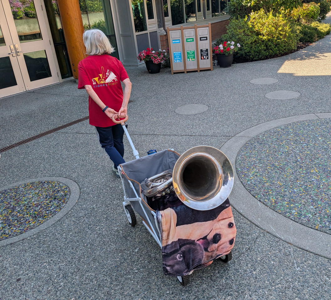 A woman is towing a large horn behind her in a small cart