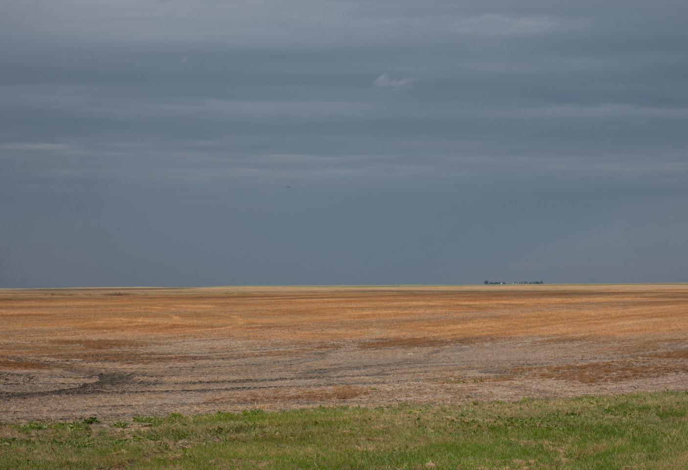 Recently-harvested Prairie landscape