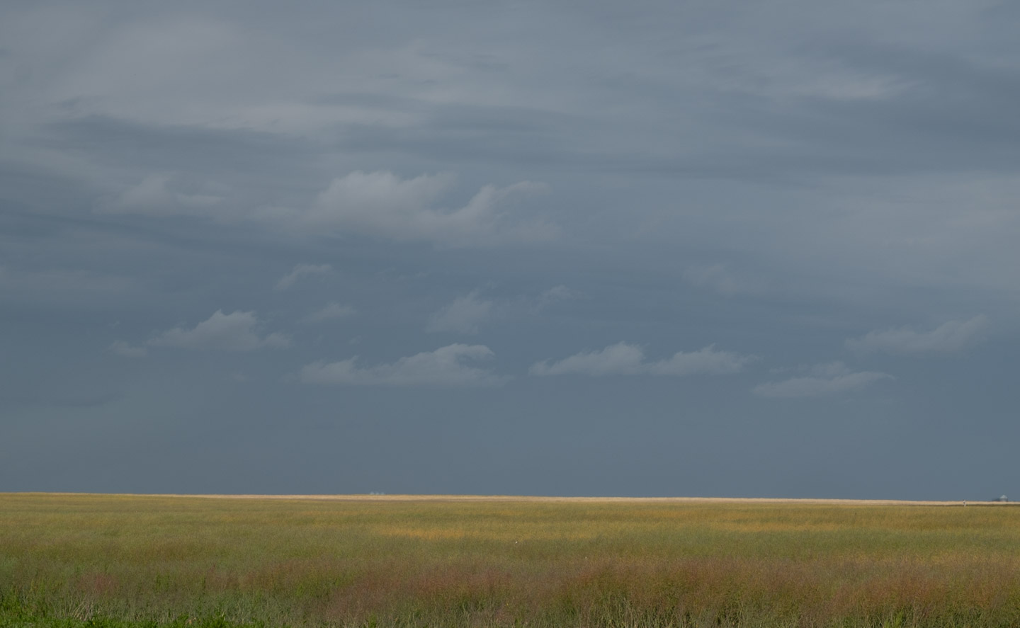 Prairie field with cloud drama above
