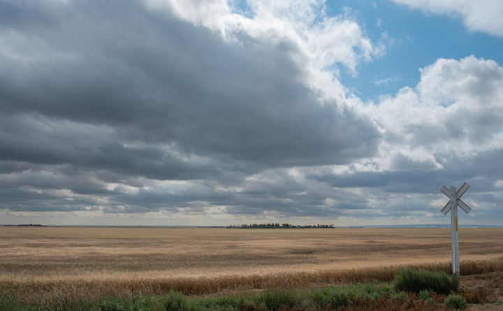 Prairie with clouds above and a train-crossing sign