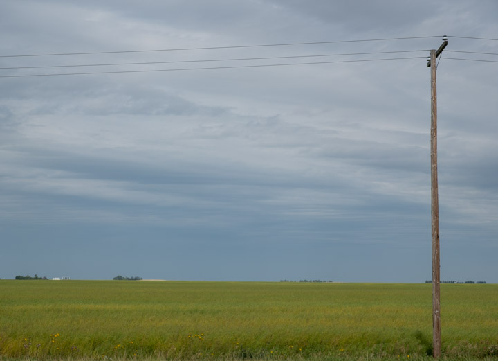 Green Prairie grass with a telephone pole and buildings in the distance