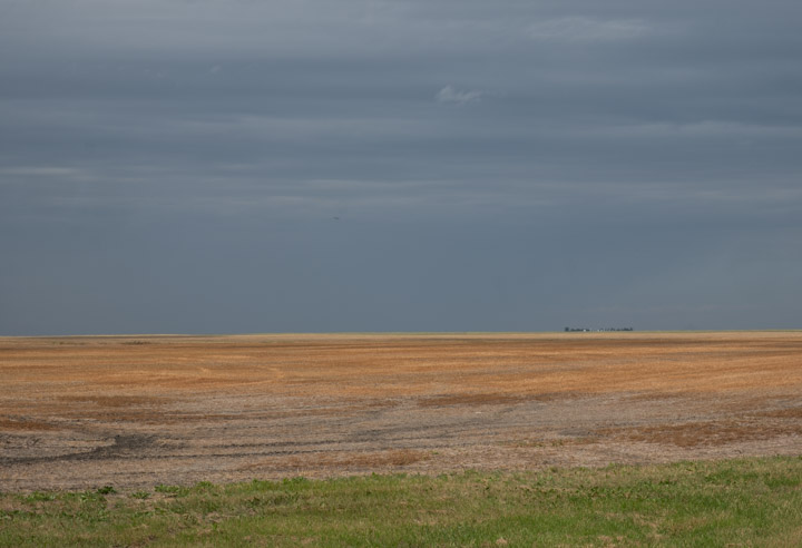 Recently-harvested Prairie landscape