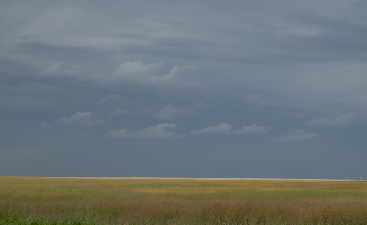 Prairie field with cloud drama above