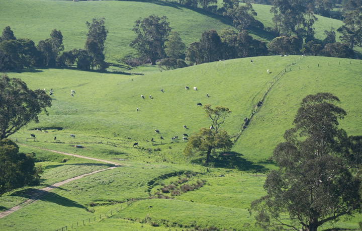 Gippsland countryside